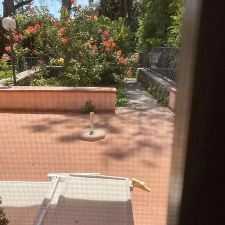 Bertoro ايسكيا